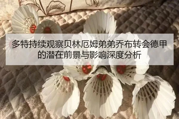 多特持续观察贝林厄姆弟弟乔布转会德甲的潜在前景与影响深度分析（kaiyun）